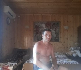 Владимир, 41 год, Брянск