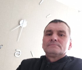 Сергей Иванков, 52 года, Шилово
