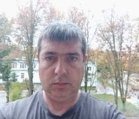 Михаил Зотов, 42 года, Тула
