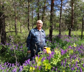 Viktor, 69, Kamyshin