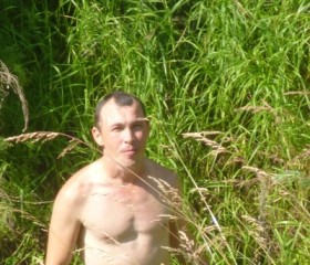 Александр, 42 года, Спасск-Рязанский