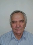 Anatoliy, 71, Saint Petersburg