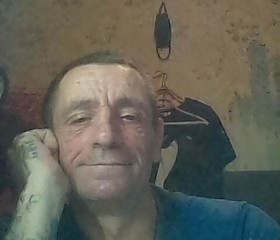 Андрей, 50 лет, Кольчугино