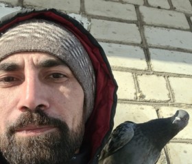 Klassnyy Sobesed, 38, Svobodnyy