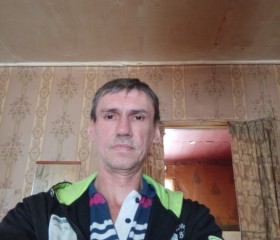 Александр Смирно, 50 лет, Иваново
