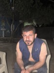 تب, 18, Adana