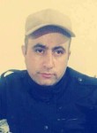 Ali Hamamcı, 39 лет, Bitlis