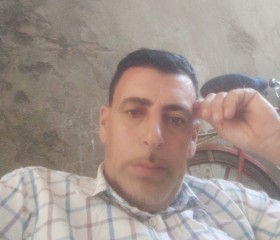 هانى, 47, Damanhur