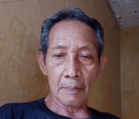 Bayu segoro, 43 года, Djakarta