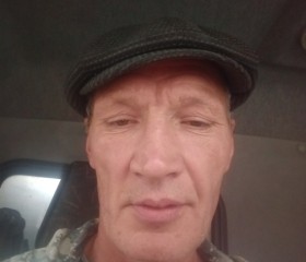 Владимир Галеев, 50 лет, Зеленодольск