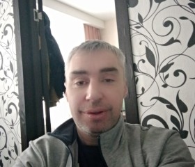 Алексей, 44 года, Череповец