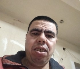 مراد, 46, Cairo