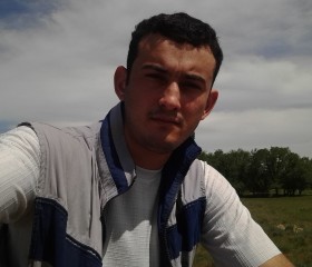 Денис, 31 год, Алматы