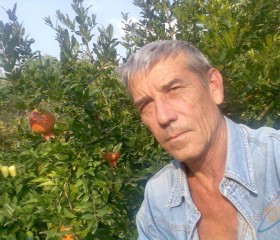 Анатолий, 71 год, Алушта