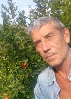 Анатолий, 72, Россия, Алушта