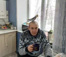 kuzmingenok, 63 года, Ульяновск