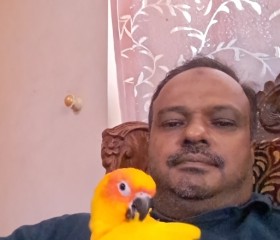 Mohammed, 41 год, Padmanābhapuram