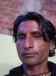 Mujffr, 35 лет, New Delhi