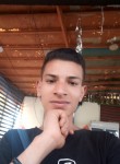 محمد ربيع, 19 лет, القاهرة