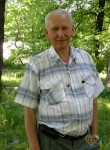 Александр, 69 лет, Санкт-Петербург