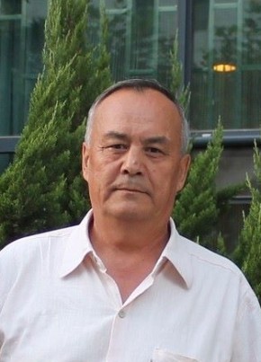 Валит Мазитов, 72, Россия, Благовещенск (Республика Башкортостан)