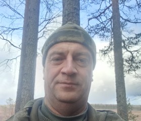 Сергей Зеленский, 45 лет, Петрозаводск