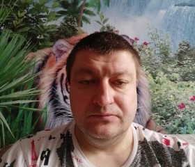 Игорь, 45 лет, Бабруйск