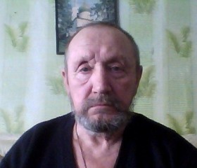 владимир, 73 года, Saatlı