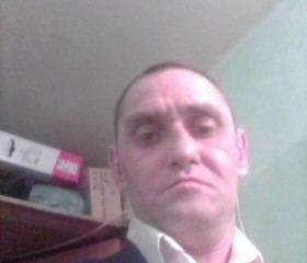 Aleksey, 45, Novosibirsk