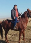 Тимур, 42 года, Алматы