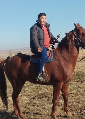 Тимур, 42, Қазақстан, Алматы