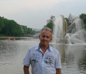 Вик, 65 лет, Москва