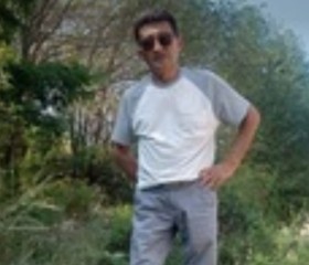 Serik, 52, Almaty