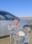николай, 69 лет, Челябинск