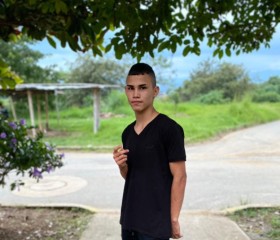 Andrés, 20 лет, Santander de Quilichao