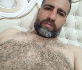 Majid, 35 лет, قم‎