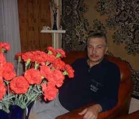 Константин, 62 года, Пикалёво