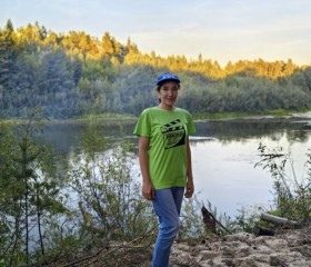 Ильмира, 41 год, Казань