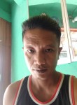 Roni, 42 года, Baturaja