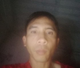 Trần Nguyên Tuấn, 35, Thanh Pho Nam Dinh