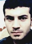 Yaser, 33 года, شهرستان ارومیه