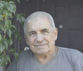 Владимир, 75 лет, Тюмень