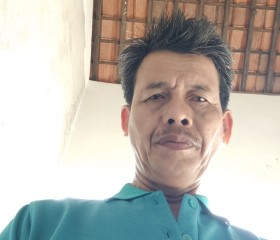 Vivo, 43 года, Kota Metro