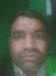 Santosh Survansh, 38 лет, Gwalior