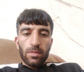 Hov, 31, Byureghavan