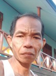 Wiwin Wina, 56 лет, Kota Palangka Raya