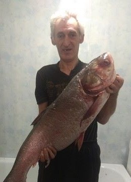 валера, 55, Россия, Курск