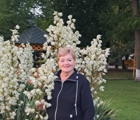 Valentina, 65, Belaya Glina
