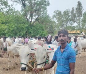 Raju, 33 года, Nandikotkūr