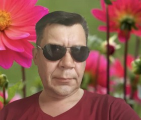 Andrey, 51 год, Владимир